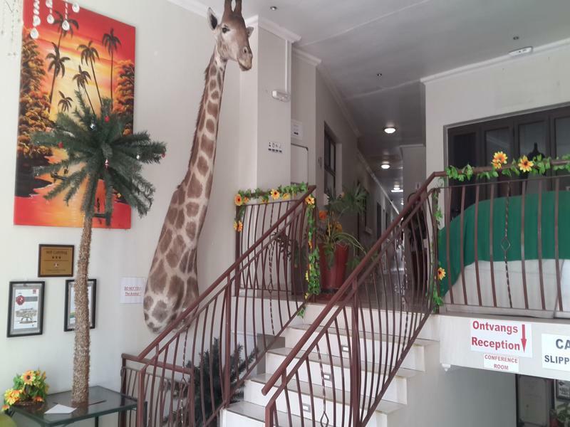 הארטביספורט Palm Valley Inn And Day Spa מראה חיצוני תמונה